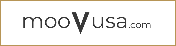 V-Security Solutions